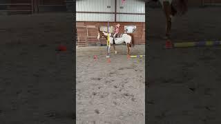 Riding lesson with grandma #horse #equestrian #babygirl #cowgirl #farming