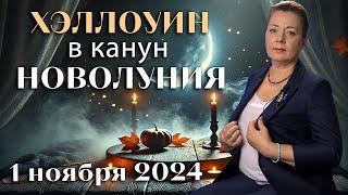 НЕ УПУСТИТЕ ПОСЛЕДНИЙ ХОРОШИЙ ПЕРИОД! НОВОЛУНИЕ 1 НОЯБРЯ 2024