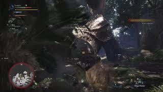 Killing Deviljho First Try Pt. 2