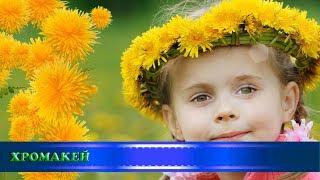 Футажи-переходы "Одуванчики", хромакей/transitions "Dandelions", chromakey