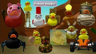 КАК НАЙТИ ВСЕХ МОРФОФ В КАРТЕ ПУСТЫНЯ  21/21  /FIND THE RUBBER DUCK MORPHS 