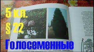 Биология 5 кл § 22 Голосеменные (Автор В.В.Пасечник)