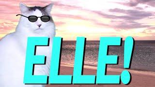 HAPPY BIRTHDAY ELLE! - EPIC CAT Happy Birthday Song