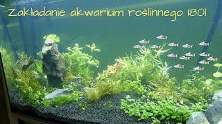 Zakładanie akwarium roślinnego na bazie ziemi ogrodowej