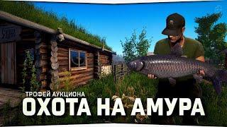 оз. Старый Острог • Охота на Чёрного Амура • Русская Рыбалка 4
