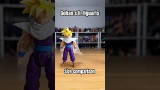 SHFiguarts Super Saiyan Gohan size comparison with other action figures