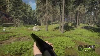 theHunter: Call of the Wild .470 FULL METAL JACKET vs wild boar