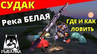 СУДАК Река БЕЛАЯ - ГДЕ И КАК ЛОВИТЬ / ФАРМ р. БЕЛАЯ  РУССКАЯ РЫБАЛКА 4  Russian Fishing 4  РР4