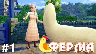 Эпплы возвращаются! Победа на ярмарке - The Sims 4 - Ферма #1