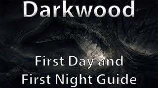 FIRST DAY AND NIGHT GUIDE: Darkwood