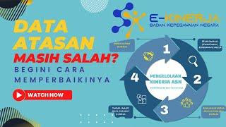 Cara Mengganti Data Atasan di Ekinerja BKN