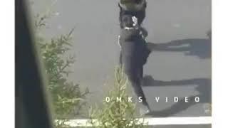 Yezalak