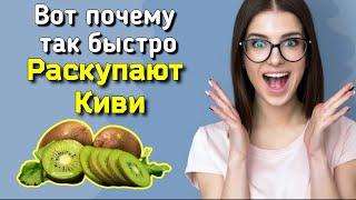 Внимание! Нашлось невероятная польза киви для Организма