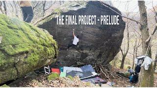 The Final Project - The Prelude