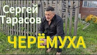 РУССКИЙ ШАНСОН "ЧЕРЁМУХА" - СЕРГЕЙ ТАРАСОВ. ГРУСТНАЯ ПЕСНЯ О ЖИЗНИ. РОССИЙСКАЯ ЭСТРАДА. ЛУЧШИЕ ПЕСНИ