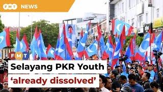 Ex-Selayang PKR Youth leaders urge party HQ to act after mass resignations