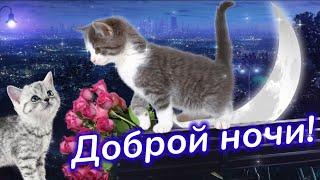 Доброй ночи! Спокойной ночи! Милое пожелание на ночь.