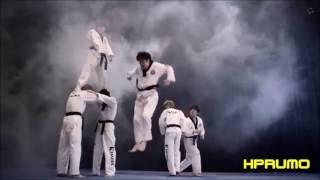 Martial Arts Mix  2 of 3 in HD (Muay Thai, Takewondo, Sambo, Karate & Kyokushin, Kickboxing, etc.)