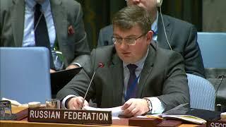 Statement by Alexander Repkin at the UNSC briefing on UNAMID