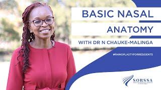 Rhinoplasty for Residents | SORSSA | Dr N Chauke-Malinga - Basic Nasal Anatomy | Ep.2