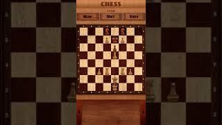 Chess, puzzles 53 - win in 2 moves