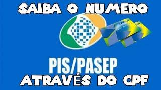 Como Saber o Número do PIS pelo seu CPF