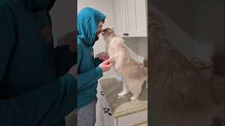 Bosherman having a moment with CatDad 