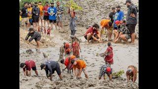 Celebrating T.R.A.P's 10th by planting 1000 Mangroves at Sunderbans