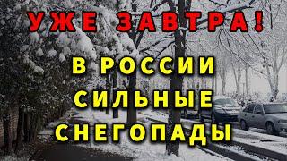 Прогноз погоды в России на завтра 23 НОЯБРЯ : Погода в России