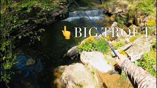 The Best TROUT FISHING TRIP I’ve Had In 2025 (Many Big Trout) #mepps #fishing #trout