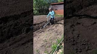 Пашем землю под картошку!
