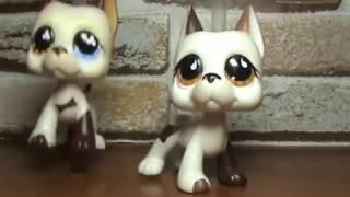 LPS: Моя коллекция догов / My lps Great Dane collection