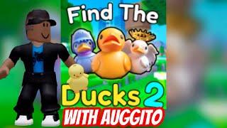 How to find ALL Ducks in Find The Ducks 2 with Auggito