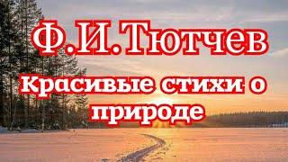 Сборник стихов о природе поэта-классика Тютчева Ф.И.