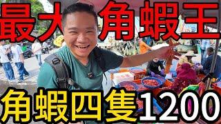 沒人知道的100元現流海鮮丨全台灣最大的角蝦四隻1200丨魚販阿姨說這是台灣帝王蟹賣我2000就好丨大溪漁港 @打魚王翔哥