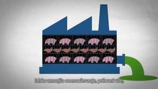 Vodnik: Kako rešiti svet