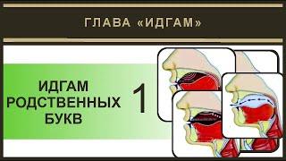 Айман Сувейд. 5. Идгам родственных 1 (русские субтитры)