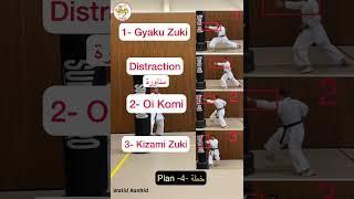 Kumite SKO Karate WR Kumite shotokan karate