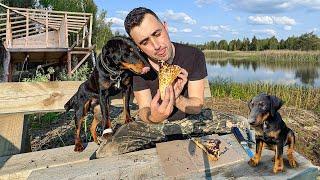 Строю Дом на дереве! Наловил Линков! Сделал конвертики. Проведали сыночка Тони!
