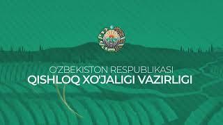 Qishloq xo‘jaligi vaziri, hududiy boshqarma vakillari, markaz xodimlari  mutaxassislari ishtirokida