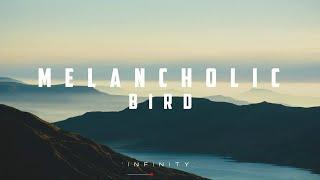 Melancholic Bird - Infinity | Chill | New Age Chill Music 2024 (Global) #newagechillmusic2024