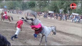 Buzkashi Rasam at Yasin Polo Ground