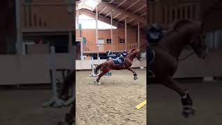 Hope ur ok xx #horses #fall #funny #hopeurok #equestrian #jump #slowmo #shorts #fyp #blowup #like