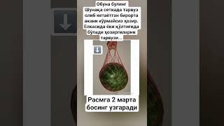 Шунақа сеткада тарвуз олиб кетаётган бирорта акани кўрмайсиз ҳозир. Елкасида ёки