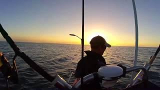 Fishing Fantail Bay Coromandel