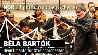 Bartók: Divertimento for String Orchestra | Alan Gilbert | NDR Elbphilharmonie Orchestra