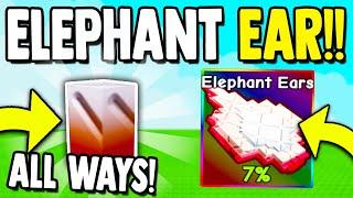 How to get ELEPHANT EAR!! | Grow a Garden ROBLOX