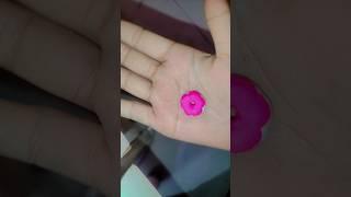 World smallest  donut #shortvideo #art #jimmy girl 