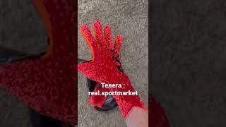 Вратарские перчатки Adidas Predator Pro 