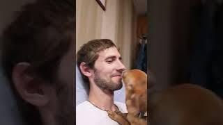 Алиса лижет нос